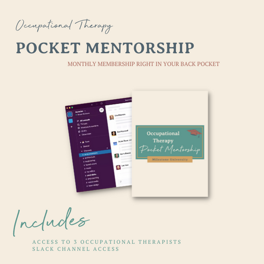 Pocket Mentorship