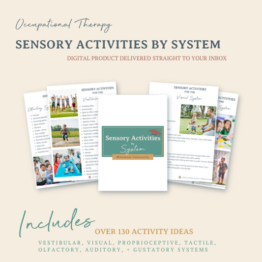 Sensory Activities By System